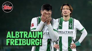 Albtraum Freiburg!  Borussia mit billigen Gegentoren!  Reitz zu ManCity? 