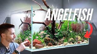 240L Angelfish Aquarium inspired by MD Fish Tanks