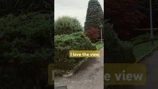 Switzerland  #shortvideo #garden #beautiful place #moreviewers and subscribers