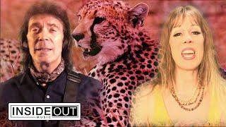 STEVE HACKETT - Wingbeats (OFFICIAL VIDEO)