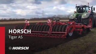 HORSCH Tiger AS