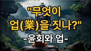 "무엇이 업(業)을 짓나?", 윤회와 업(2)