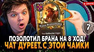 ПОЗОЛОТИЛ БРАННА НА 8 ХОД! ЧАТ ДУРЕЕТ с ЭТОЙ ЧАЙКИ! SilverName Сильвернейм Hearthstone