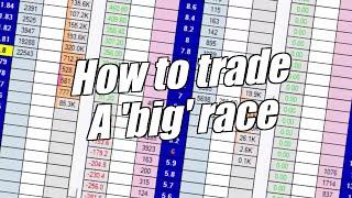 Peter Webb - Betfair trading - Trading a big race at Cheltenham