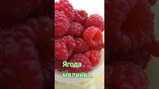 Малинка в октябре#осеньоктябрь# всё будет хорошо#