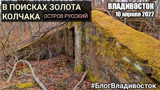 В поисках золота Колчака коп на Русском острове #блогвладивосток