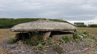 Hertfordshire Village Walks: Stanstead Abbotts to Hunsdon and Widford.