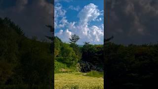 태백의 새로운 사진스폿, 여러분 지금 오셔야합니다 !!