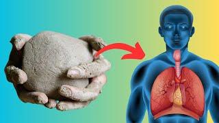 What Happens to Your Body When You Eat Clay