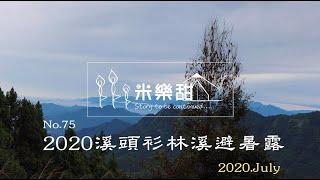 米樂甜 露營趣No.75 ｜2020 溪頭衫林溪避暑露｜親子團露｜衫林溪｜無電露