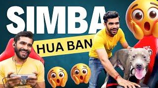 Kya Simba Hoga Ban ??? | Shreeman & Simba Fun