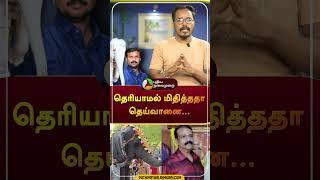 தெரியாமல் மிதித்ததா தெய்வானை..? | #shorts | #tiruchendur | #elephant | #puthiyathalaimuraitv