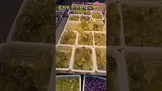 천연원석 도매시장 #광저우도매시장 #광저우
