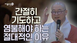 간절히 기도하고 염불해야 하는 절대적인 이유 | 염불 수행 정진 이야기 설화 전설 기도 지장경 영험 극락왕생 |  광우스님의 지장경 이야기 74회(37-2)