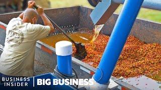 How Millions Of Pounds Of Coffee Are Processed At Hawaiian Coffee Farms | Big Business