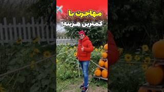 ⭐️چطور بدون سرمایه مهاجرت کنم؟!️موسسه ملک‌پور