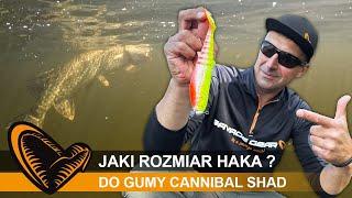 JAK DOBRAĆ ROZMIAR GŁÓWKI JIGOWEJ do GUMY CANNIBAL ?