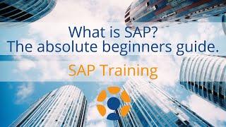 What is SAP - The Absolute Beginner's Guide