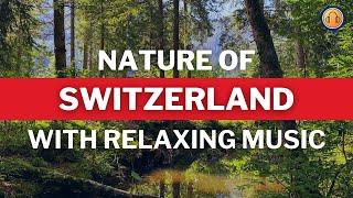 Nature of Switzerland with Relaxing Music • 30 Minutes