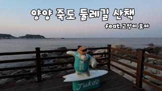 양양 죽도 둘레길 산책 feat.고양이 호야 / 죽도암 / 인구해변 / 어촌마을물회섭국