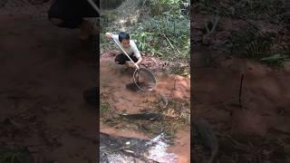 Fishing for grayling, 車中泊, camping stove, 캠핑, off the grid, jeep camping, jeep wrangler