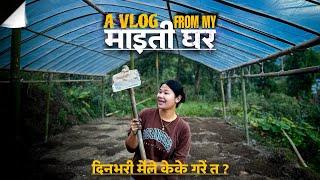 माइतीघरमा मेरो कामहरु येस्तै छ है #villagevlog #salurai