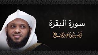 سورة البقرة - الشيخ توفيق الصايغ #الذكر_الحكيم