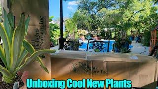 Unboxing New Plants || Plant Delights Nursery Haul