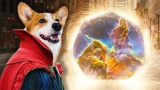 Hammy and Olivia Face Off with Dinosaurs from the Multiverse 