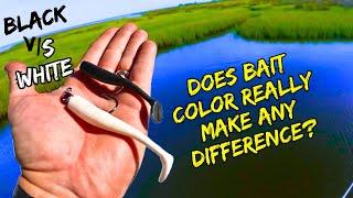 Does *BAIT COLOR* really matter? The Ultimate Test! BLACK vs WHITE! Shocking Results!