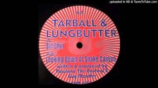 Tarball & Lungbutter - Looking Down At Snake Canyon (Acid Techno 1999)