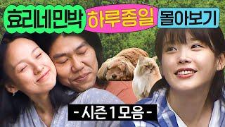 ⭐8시간⭐ ≪효리네 민박 시즌 1≫ 1화부터 마지막 화까지 몰아보기｜효리네 민박｜JTBC 170924 방송 외