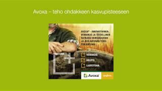 Avoxa – teho ohdakkeen kasvupisteeseen