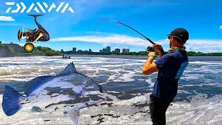 BIG Freshwater Drums caught on Lures from Shore! Best Fishing Day Ever in Canada [New Species]