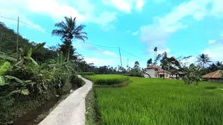 Takjub ⁉️Rumah- Rumah Cantik Tengah Sawah Yang Indah, Warganya Ramah,Adem pisan, Pedesaan Jawa Barat