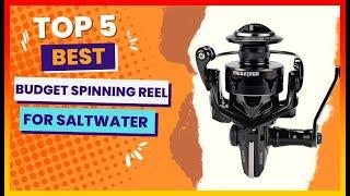 ️ Best Budget Saltwater Spinning Reel Top 5 Review | Buying Guide