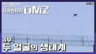 [명작다큐] 냉전이 낳은 두 얼굴의 생태계. 산양, 멧돼지, 고라니의 DMZ 겨울나기 | 정전 60년 다큐멘터리 [DMZ] 4부 (KBS 130804 방송)