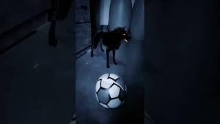 Scary Dog Bhuter Video  Bhoot video #bhoot #bhoot_video #bhutergolpo