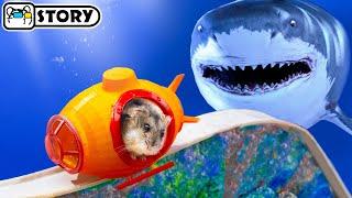 Hamster Escapes the Underwater Roller Coaster in the Pool Maze  Homura Ham Pets