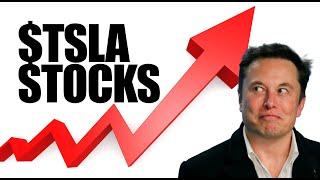 Current Status of TESLA Stock and Coming Catalysts. Herbert Ong of Brighter with Herbert Interview: