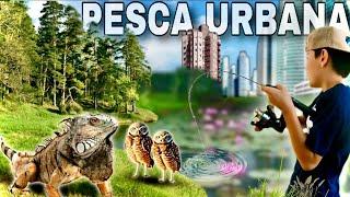 Aventura de EXPLORACION y PESCA URBANA en LA CAPITAL ️