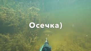 Подводная охота Астрахань раскаты июль 2020