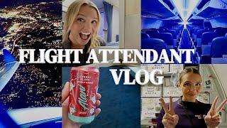 CHATTY FA VLOG! ️ 3 day trip, pax gifts, flying with area codes, etc.