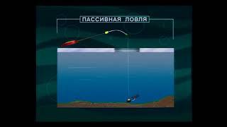 Какие снасти используются при подлёдной ловле Обыкновенной плотвы (Common roach) — Rutilus rutilus ?