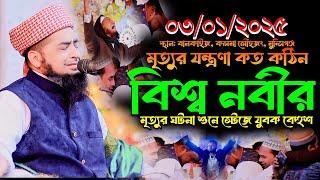 ০৩-০১-২০২৫ মৃত্যুর যন্ত্রণা কত কঠিন | Mufti Eliasur Rahman Zihadi | ইলিয়াছুর রহমান জিহাদী নতুন ওয়াজ