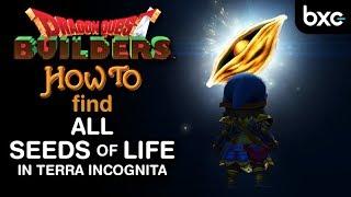 How to find ALL seeds of life in Terra Incognita | Dragon Quest Builders 1