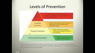 Levels of Prevention Updated