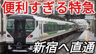 【新宿さざなみ】土休日限定で大ターミナル・新宿に現れる特急列車がありました！