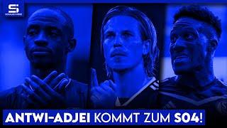 Schalke holt Antwi-Adjei! Neuzugang aus der Schweiz? Lasme & Tempelmann bleiben! | S04 NEWS