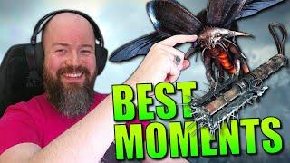 STICKY Stalker Beetles & MORE! | Funny Moments & Fails #4